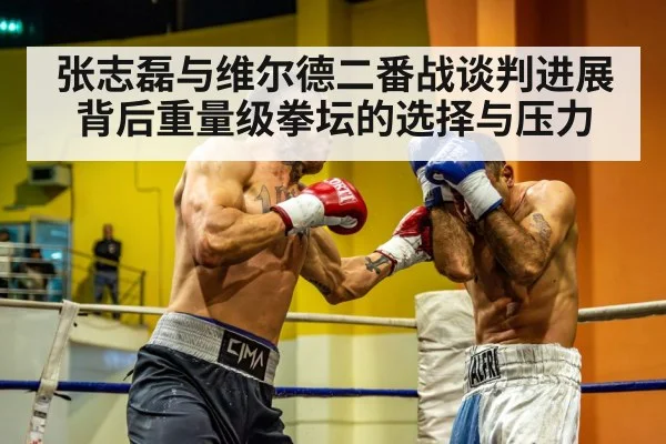 张志磊与维尔德二番战谈判进展背后重量级拳坛的选择与压力