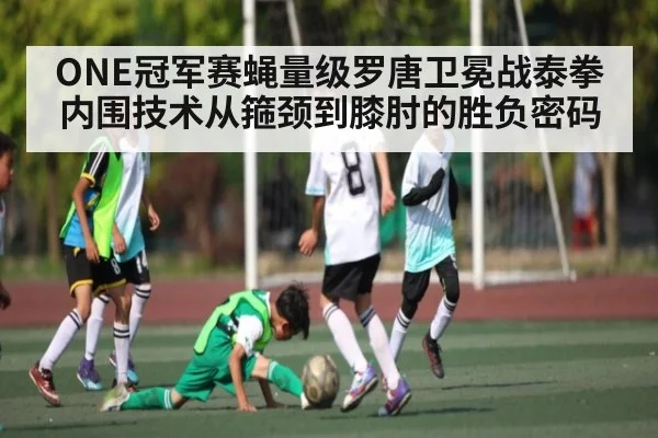 ONE冠军赛蝇量级罗唐卫冕战泰拳内围技术从箍颈到膝肘的胜负密码